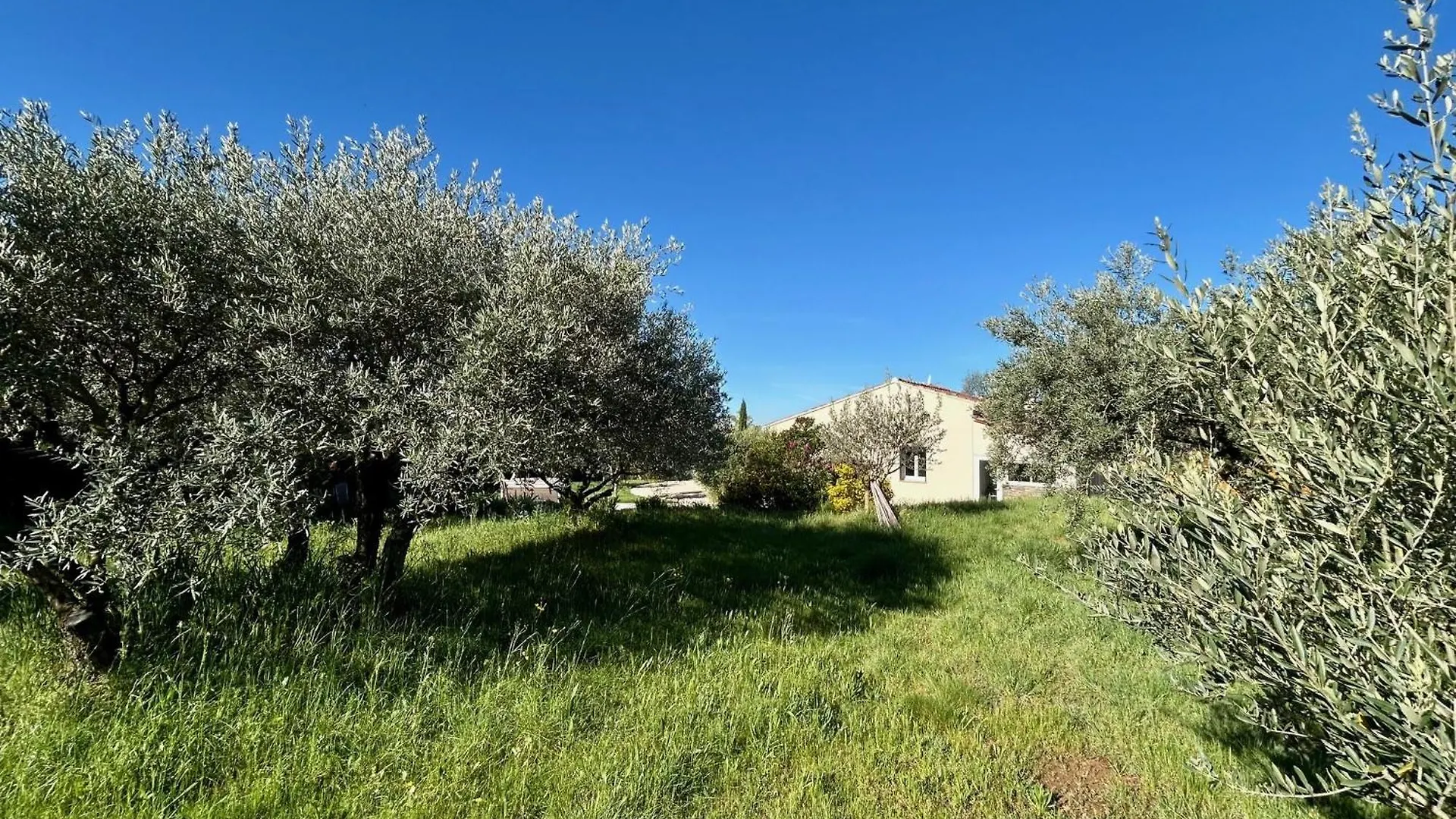 Villa Les Oliviers Bédoin