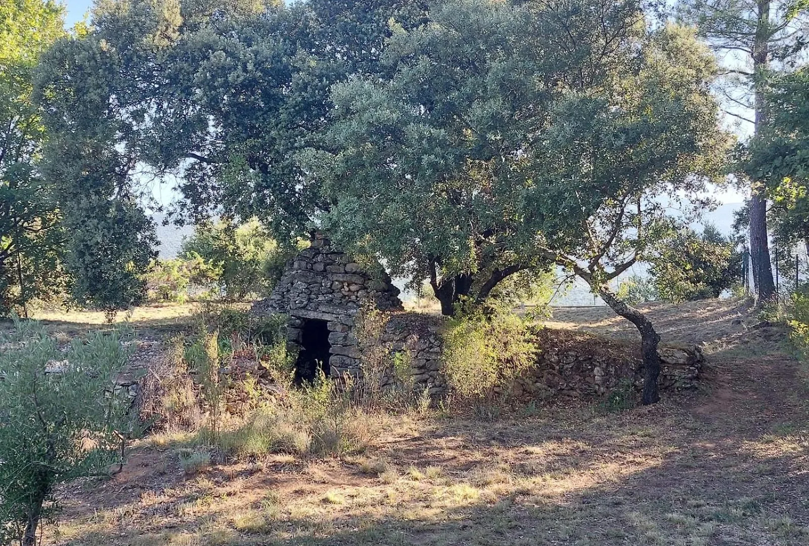 Villa Les Oliviers Bedoin France