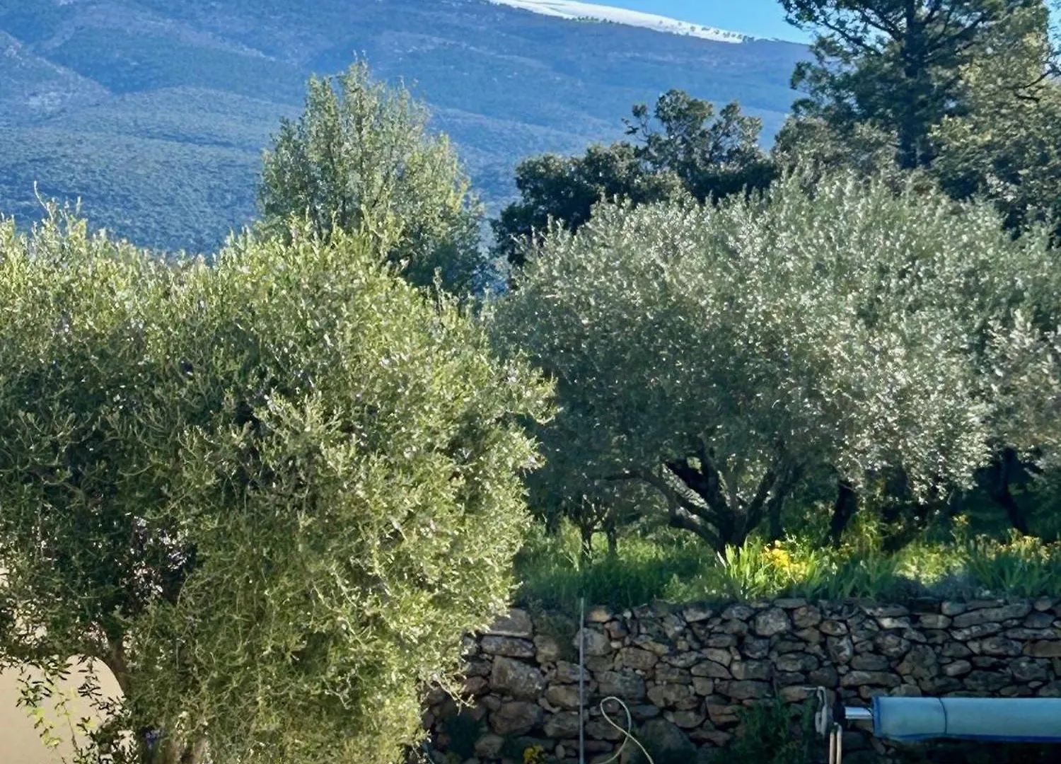 Villa Les Oliviers Bedoin France